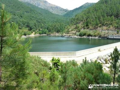 Pinares de la Angostura en Piedralaves;hacer senderismo ruta de los pescadores arenas de san pedro